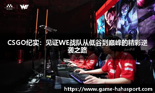 哈哈体育平台